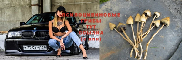 синтетический гашиш Абинск